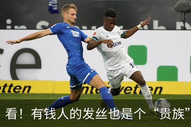 看！有钱人的发丝也是个“贵族”！
